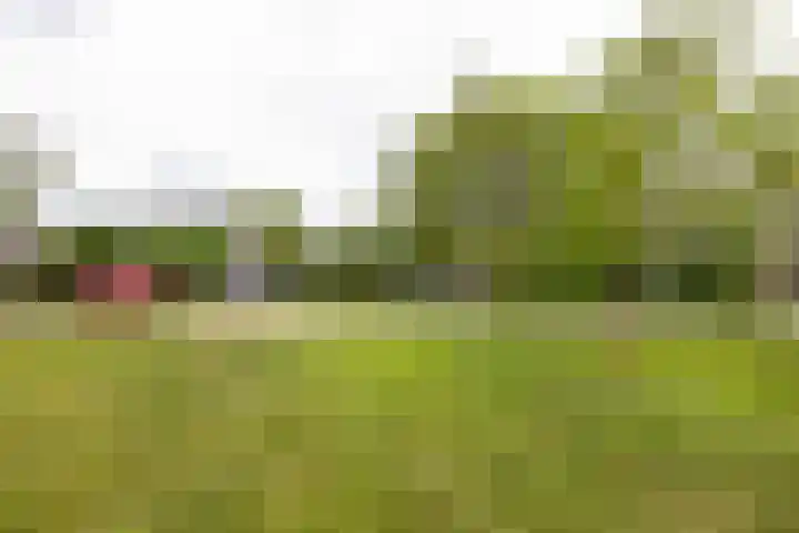 Nienke van Hichtumlaan 7 Vlissingen thumbnail 5