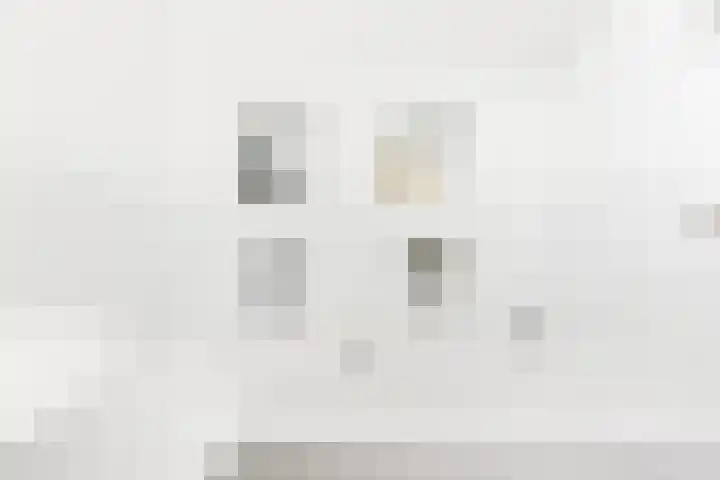 Nienke van Hichtumlaan 7 Vlissingen thumbnail 51