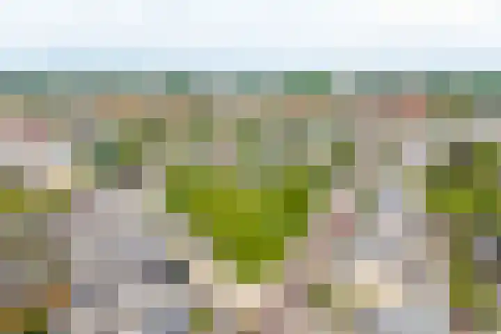 Nienke van Hichtumlaan 7 Vlissingen thumbnail 52