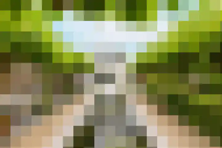 Nienke van Hichtumlaan 7 Vlissingen thumbnail 6