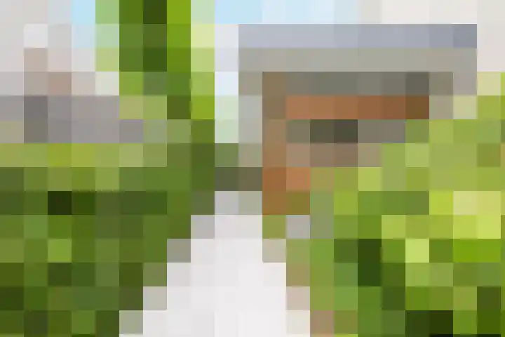 Nienke van Hichtumlaan 7 Vlissingen thumbnail 7