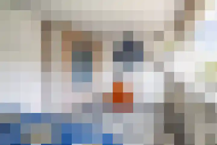 Nienke van Hichtumpad 110 Gorinchem thumbnail 14