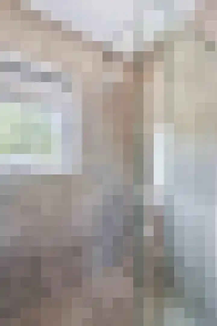 Nienke van Hichtumpad 110 Gorinchem thumbnail 15