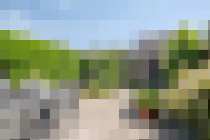 Nienke van Hichtumpad 110 Gorinchem thumbnail 21