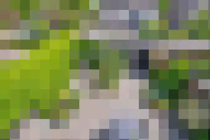 Nienke van Hichtumpad 110 Gorinchem thumbnail 23