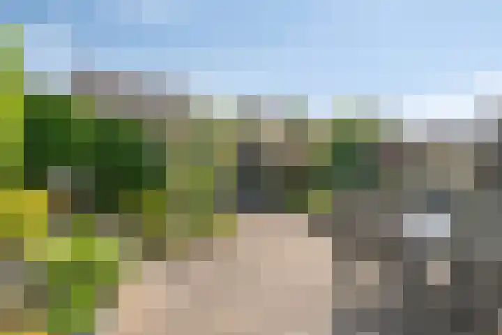 Nienke van Hichtumpad 110 Gorinchem thumbnail 24