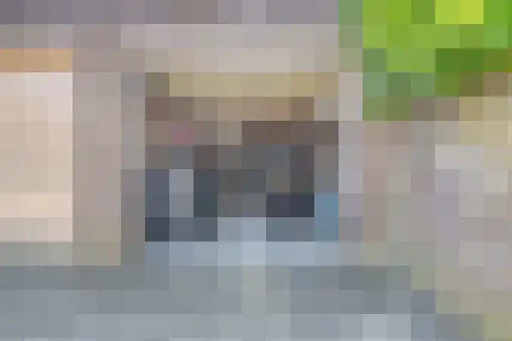 Nienke van Hichtumpad 110 Gorinchem thumbnail 25