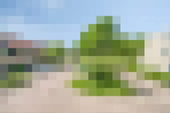 Nienke van Hichtumpad 110 Gorinchem thumbnail 26