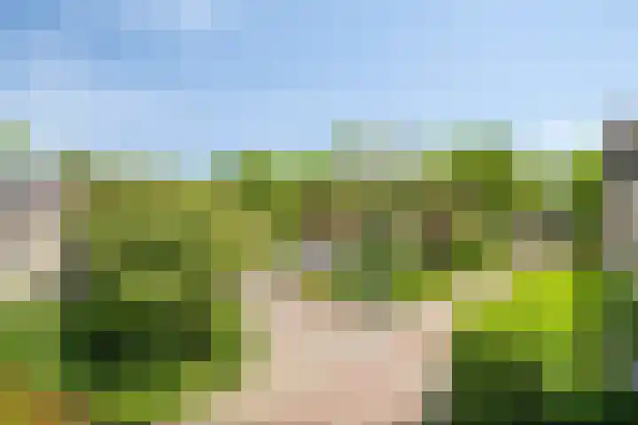 Nienke van Hichtumpad 110 Gorinchem thumbnail 27