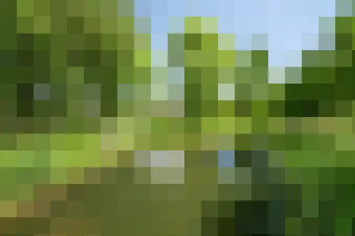Nienke van Hichtumpad 110 Gorinchem thumbnail 28