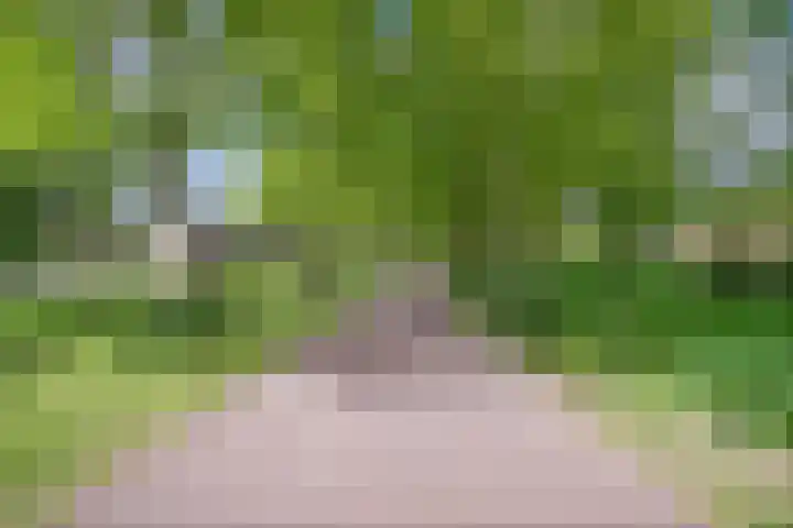 Nienke van Hichtumpad 110 Gorinchem thumbnail 29