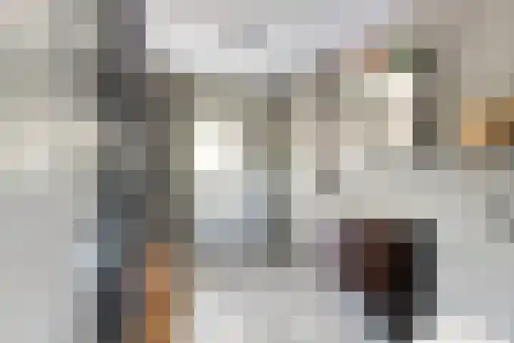 Nienke van Hichtumpad 110 Gorinchem thumbnail 4