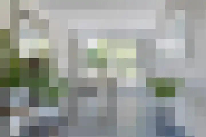 Nienke van Hichtumpad 110 Gorinchem thumbnail 8