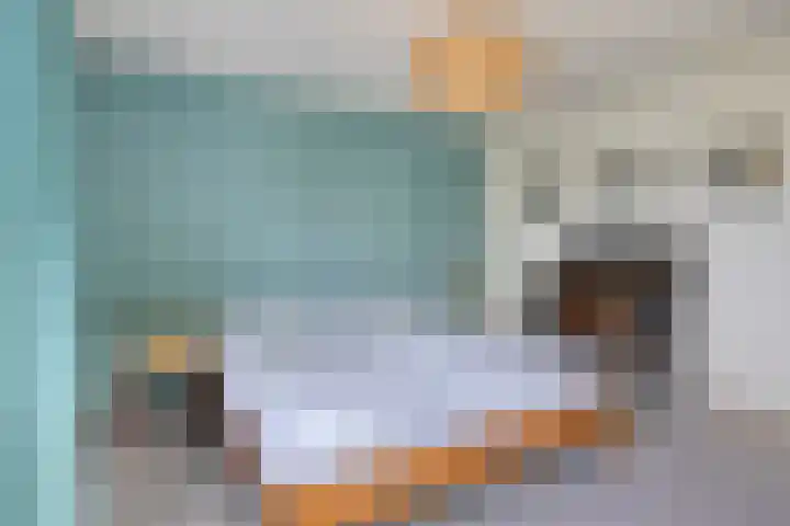 Nienke van Hichtumplein 14 Zutphen thumbnail 16