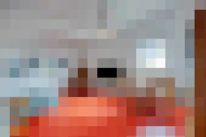 Nienke van Hichtumplein 14 Zutphen thumbnail 26