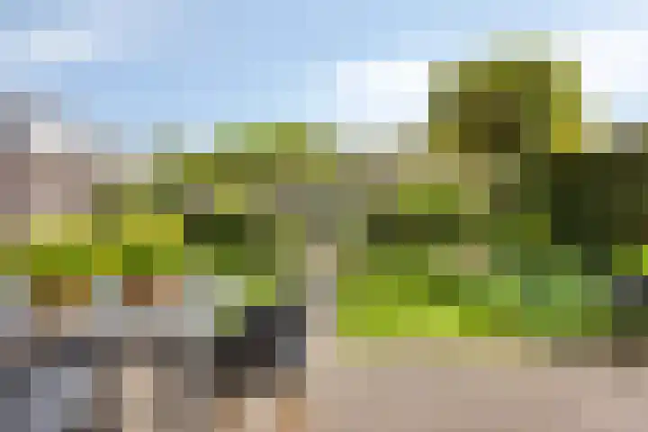 Nienke van Hichtumplein 14 Zutphen thumbnail 29