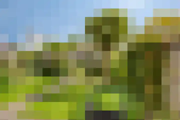 Nienke van Hichtumplein 14 Zutphen thumbnail 30