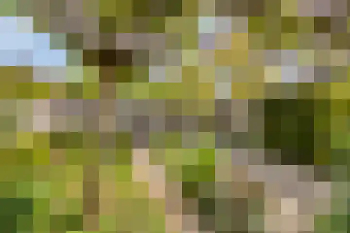 Nienke van Hichtumplein 14 Zutphen thumbnail 32