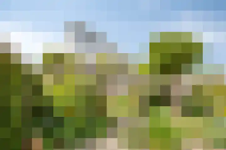 Nienke van Hichtumplein 14 Zutphen thumbnail 34