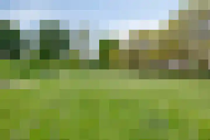 Nienke van Hichtumplein 14 Zutphen thumbnail 38