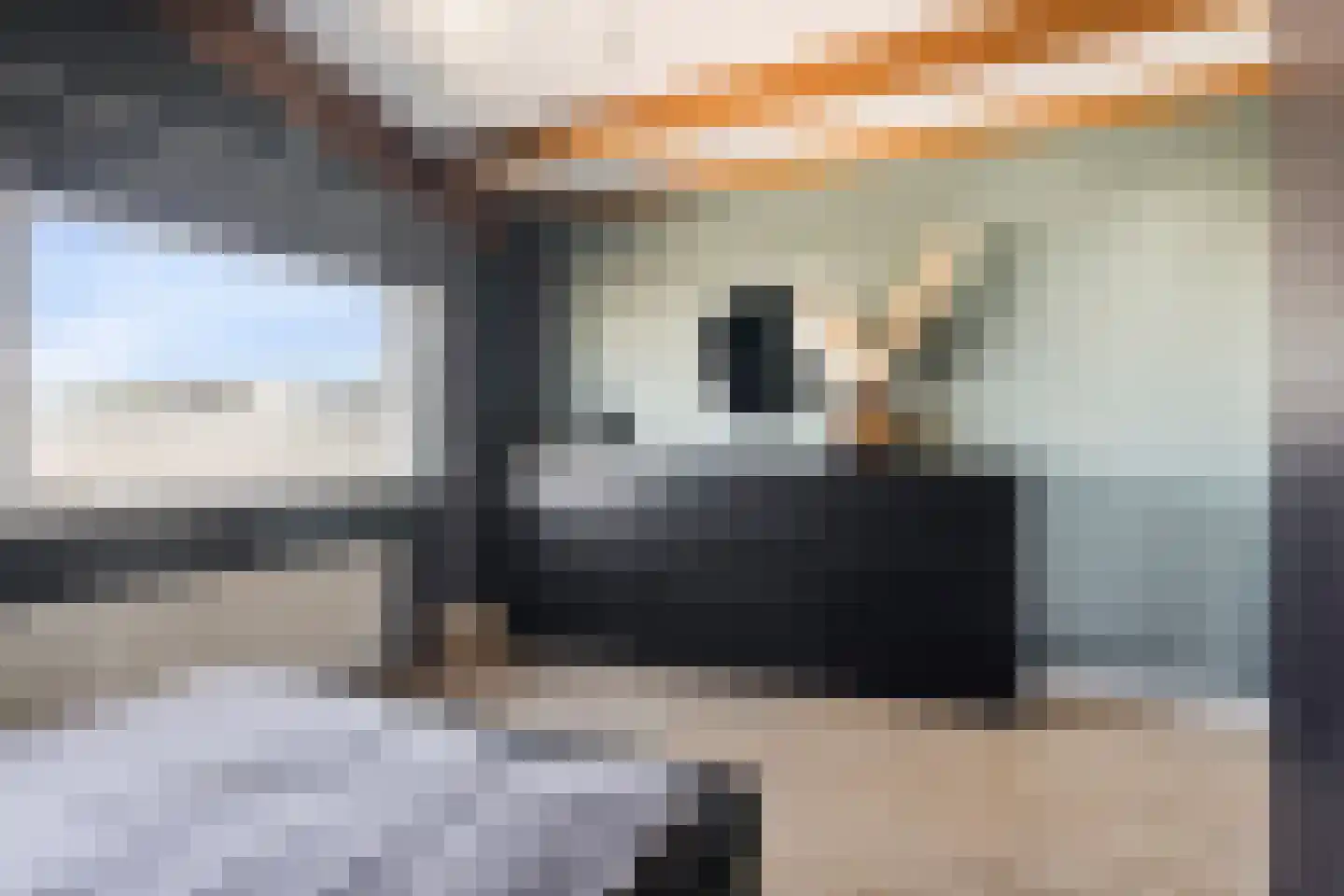 Nienke van Hichtumplein 17 Zutphen thumbnail 19