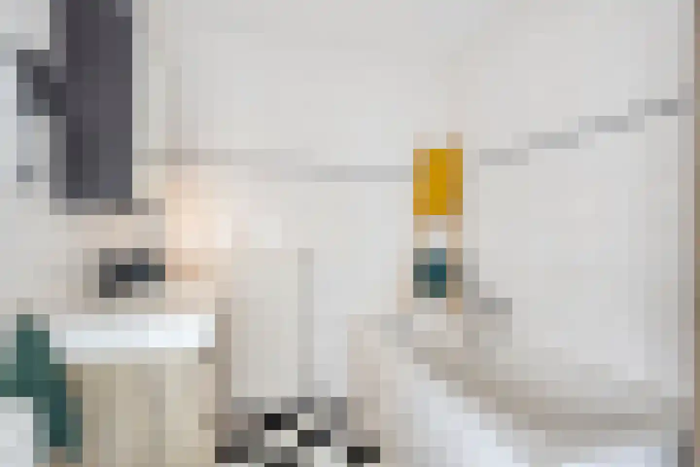 Nienke van Hichtumplein 17 Zutphen thumbnail 21