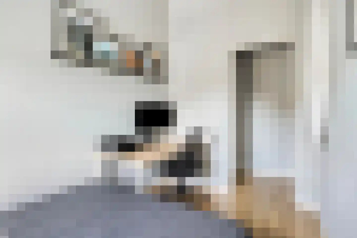 Nienke van Hichtumplein 17 Zutphen thumbnail 24