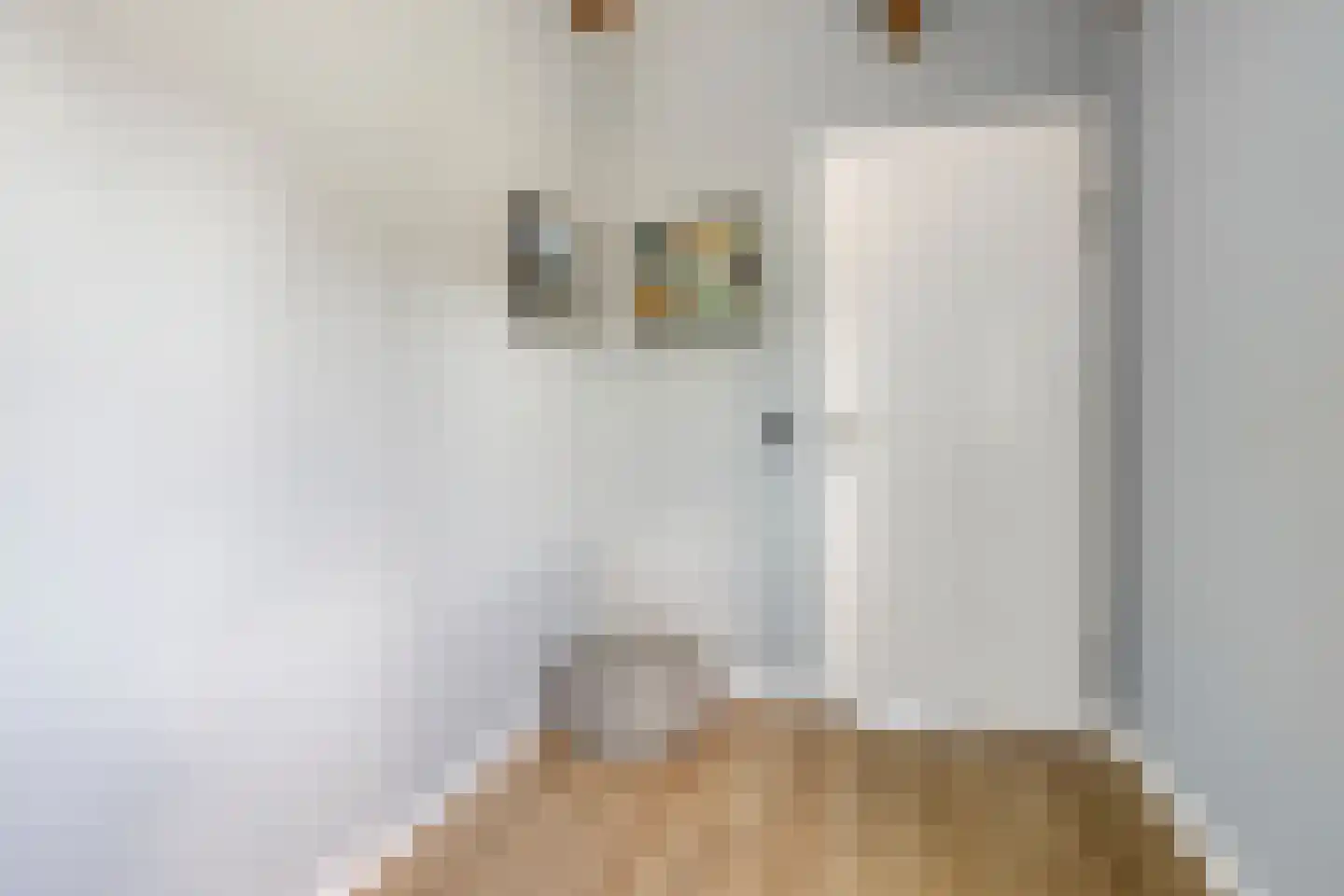 Nienke van Hichtumplein 17 Zutphen thumbnail 26