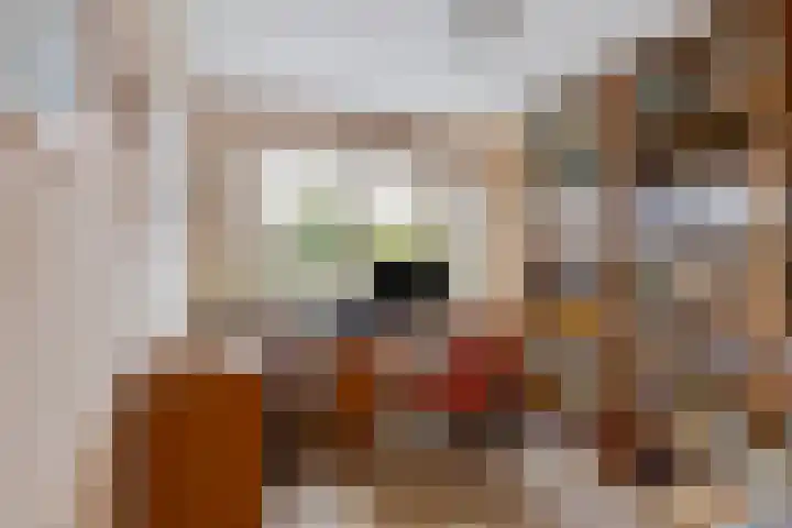 Nienke van Hichtumplein 25 Zutphen thumbnail 19