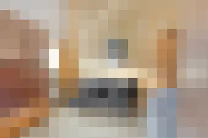 Nienke van Hichtumplein 25 Zutphen thumbnail 29