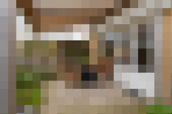 Nienke van Hichtumplein 25 Zutphen thumbnail 30