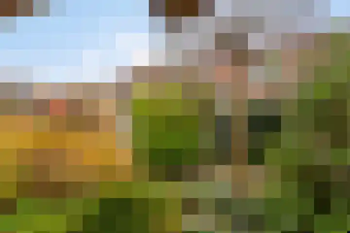 Nienke van Hichtumplein 25 Zutphen thumbnail 31