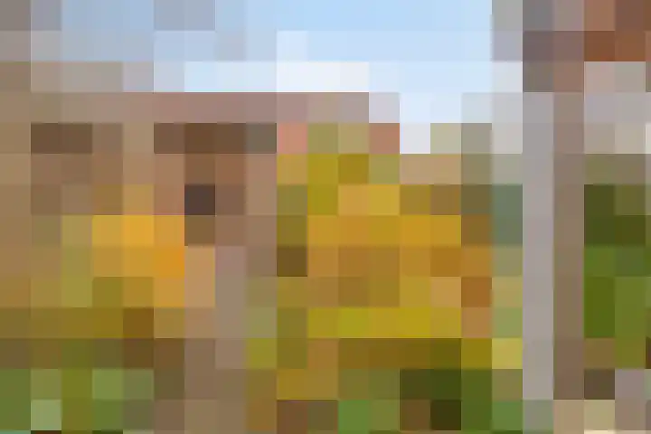 Nienke van Hichtumplein 25 Zutphen thumbnail 32