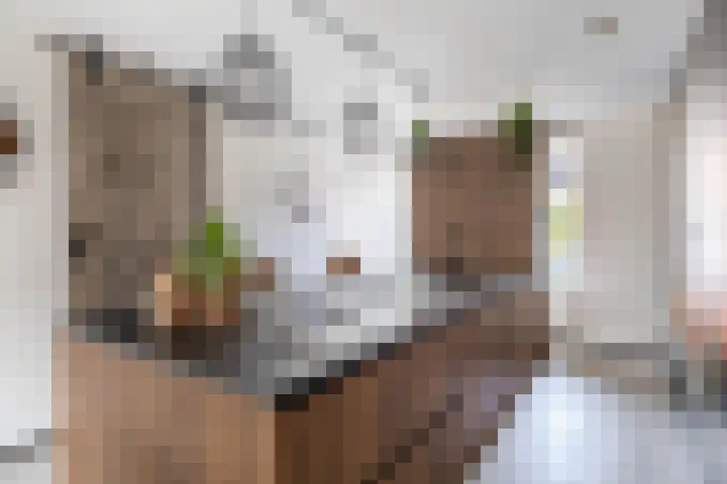 Nienke van Hichtumstraat 13 Spijkenisse thumbnail 14