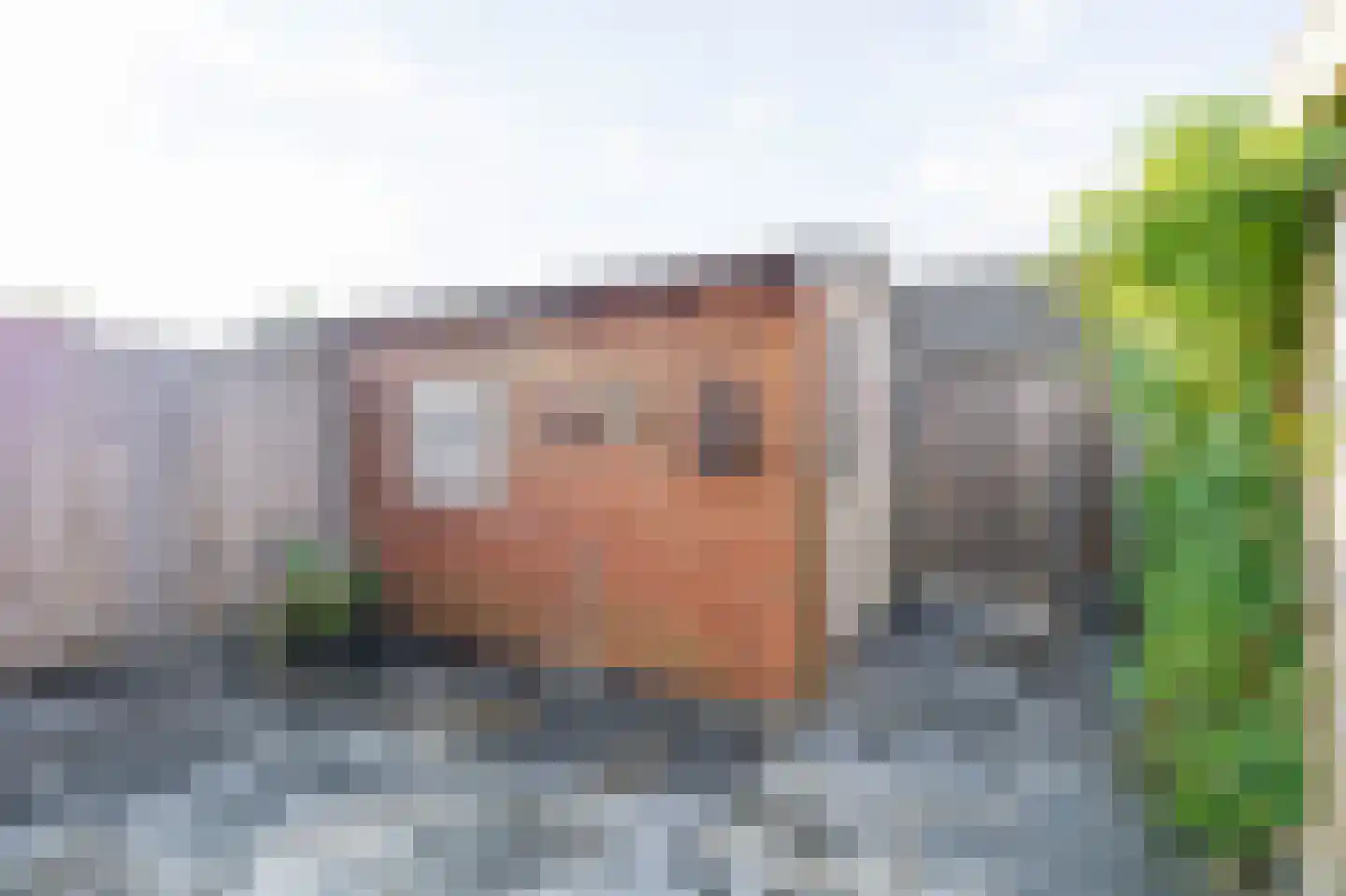Nienke van Hichtumstraat 13 Spijkenisse thumbnail 20