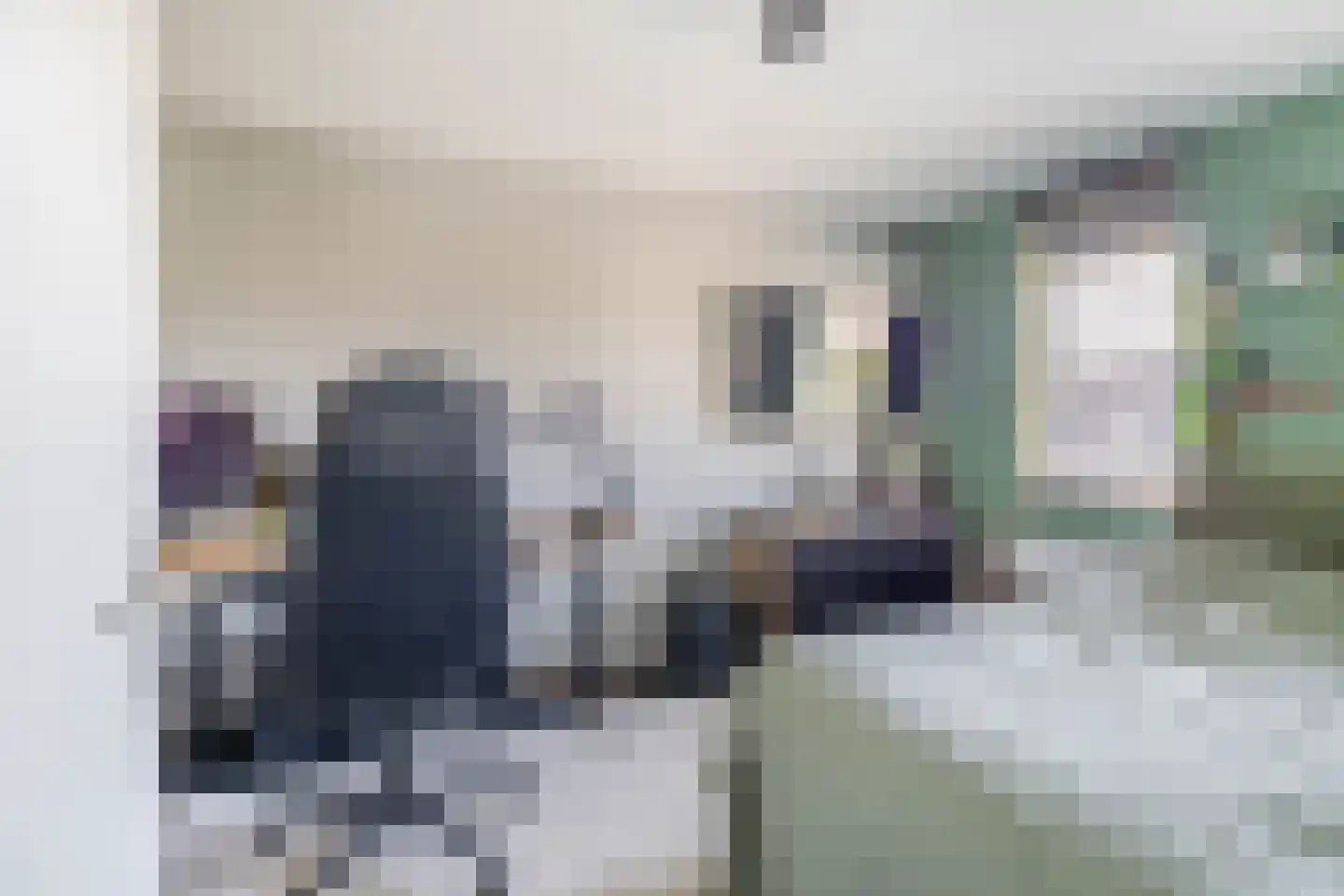 Nienke van Hichtumstraat 13 Spijkenisse thumbnail 27