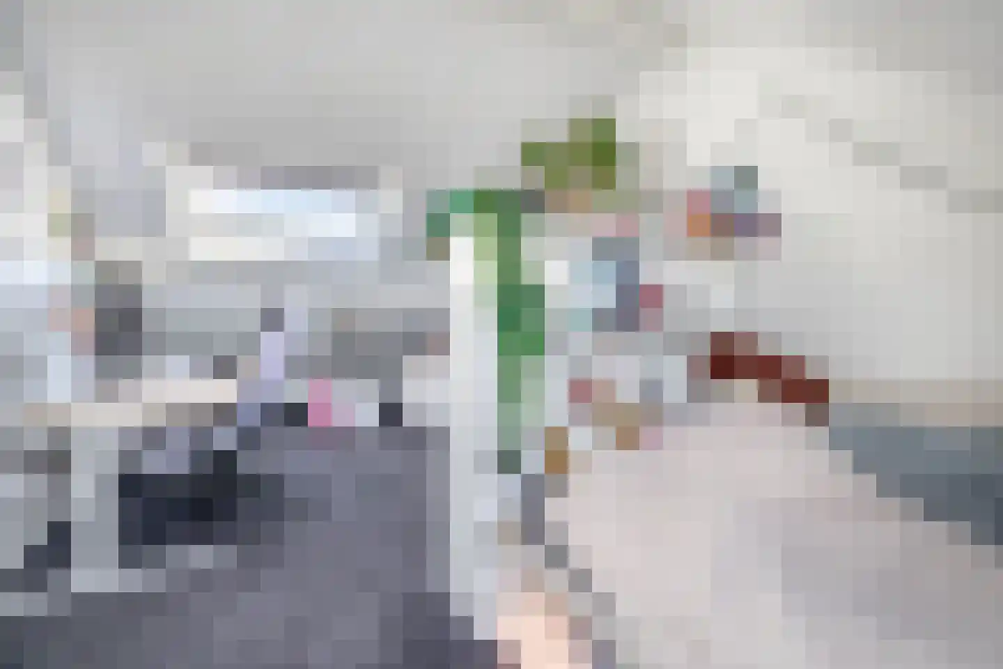 Nienke van Hichtumstraat 13 Spijkenisse thumbnail 33