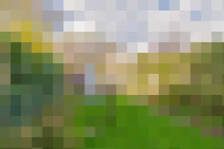Nienke van Hichtumstraat 28 Wageningen thumbnail 33