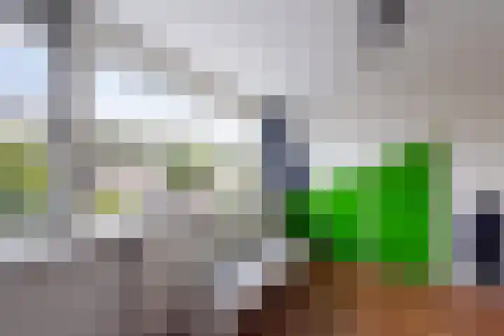 Nienke van Hichtumstraat 30 Wageningen thumbnail 34