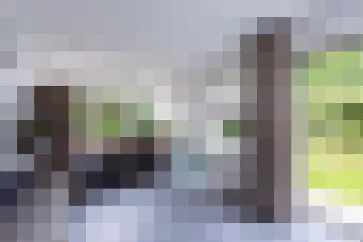 Nienke van Hichtumstraat 30 Wageningen thumbnail 8