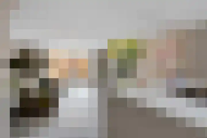 Nienke van Hichtumstraat 41 Zaandam thumbnail 11