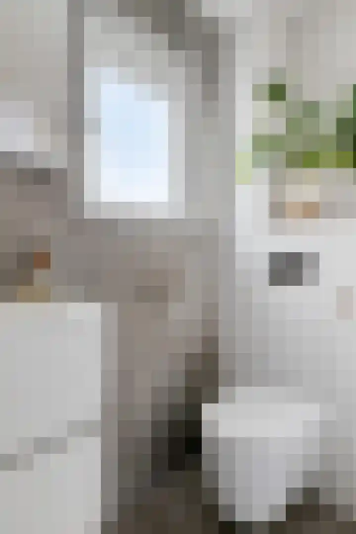 Nienke van Hichtumstraat 41 Zaandam thumbnail 29