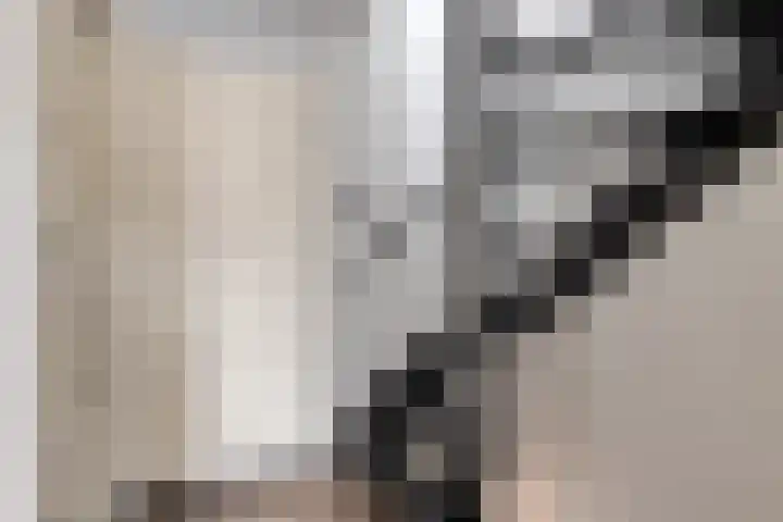 Nienke van Hichtumstraat 41 Zaandam thumbnail 33