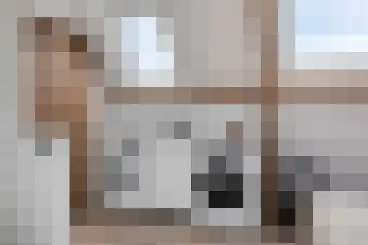Nienke van Hichtumstraat 41 Zaandam thumbnail 36
