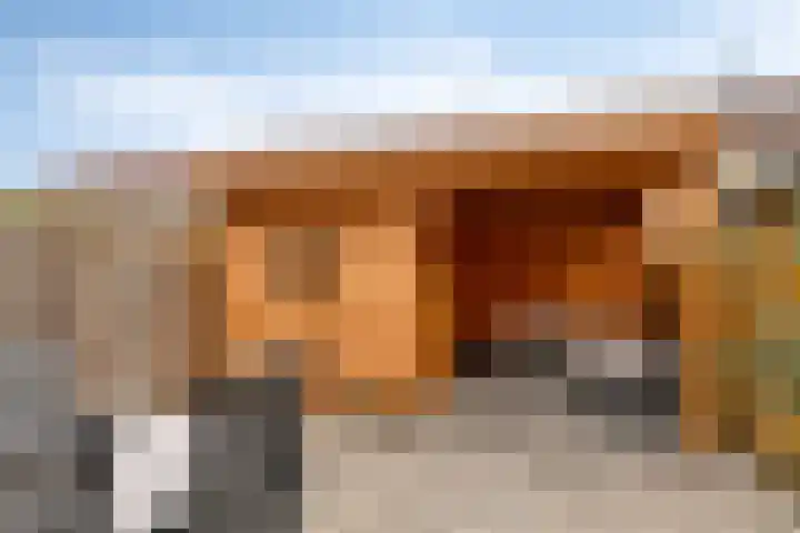 Nienke van Hichtumstraat 41 Zaandam thumbnail 4