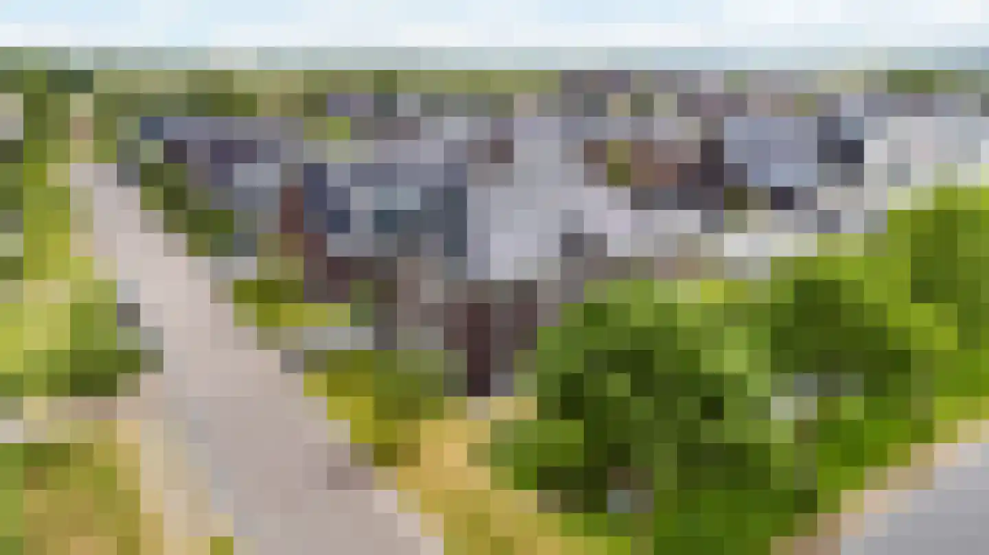 Nienke van Hichtumweg 21 Heerenveen thumbnail 51