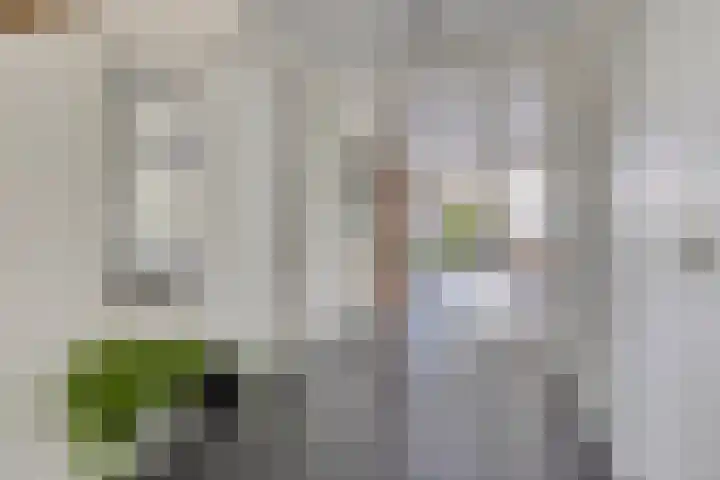 Nienke van Hichtumweg 81 Heerenveen thumbnail 14