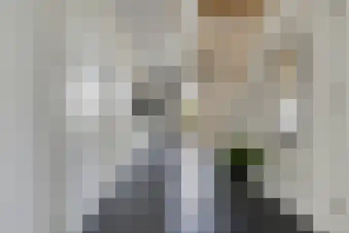 Nienke van Hichtumweg 81 Heerenveen thumbnail 15
