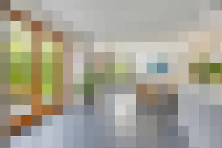 Nienke van Hichtumweg 81 Heerenveen thumbnail 16