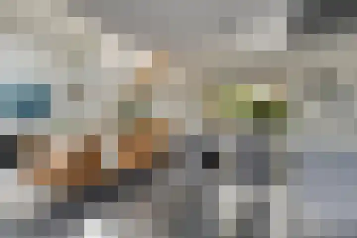 Nienke van Hichtumweg 81 Heerenveen thumbnail 23